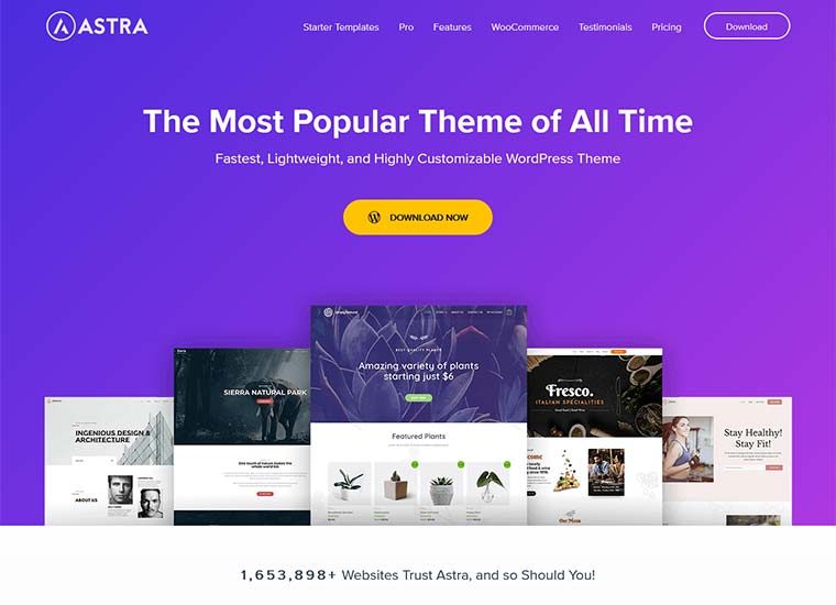 Best Responsive WordPress Theme - Astra Theme screenshot